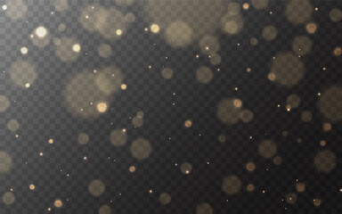 Bokeh gold. Shining particles and lights. Bright circles on transparent background. Glowing flares effect. Warm sparks with glitter. Magic blurred lights. Vector illustration.