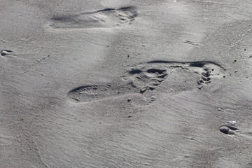 Footprints in Wet Sand at the Beach Stock Photo