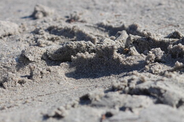 Wet Sand at the Beach - Stock Photo