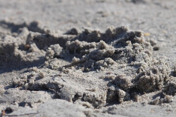 Wet Sand at the Beach - Stock Photo