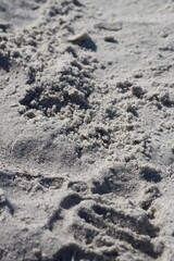 Wet Sand at the Beach - Stock Photo