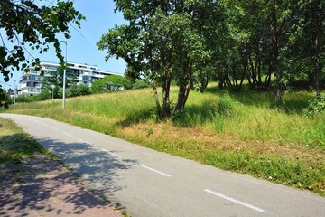 Bicycle path among trees and new apartment building in the distance - obrazy, fototapety, plakaty