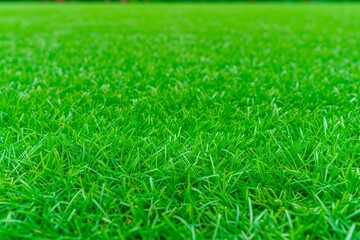 This image captures the vibrant and textured surface of a lush green grass field. The close-up shot highlights the individual blades of grass, showcasing their varying lengths and the rich shades of