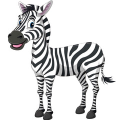 Zebra standing. Isolated on transparent background.