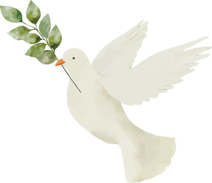 White pigeon is fly with green branch. Baptism, greeting cards, invitation, wedding card, save the date, celebration, anniversary, birthday, party, event, holiday, print