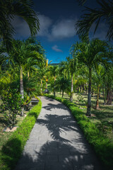 Walking path in the exotic park