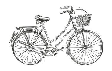 Fototapeta na wymiar Hand-drawn vintage bicycle with front basket sketch. Vector illustration