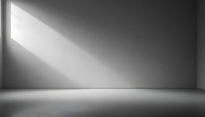 A minimalist, monochrome image showing a plain, empty room with a concrete floor and a plain white wall The lighting creates a soft, diffused effect, casting a subtle shadow on the floor.