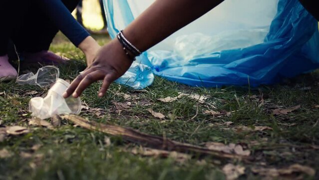 Diverse volunteers collecting trash and storing in the garbage bag, picking up junk and plastic waste to help with forest pollution. Clearing the woods, ecosystem protection. Close up. Camera B.