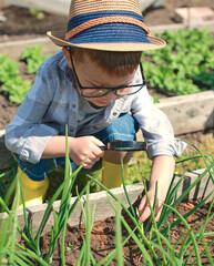 A little boy in glasses looks at plants through a magnifying glass. Spring or summer sunny day, child wearing glasses and rubber yellow boots