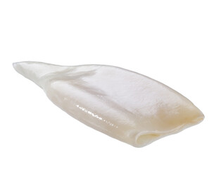 Raw squid tube isolated on white background. Fresh seafood isolated.