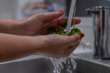 Woman washing vegetables with her hands