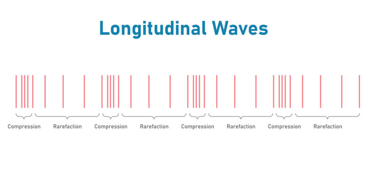 Longitudinal waves. Compression and rarefaction.