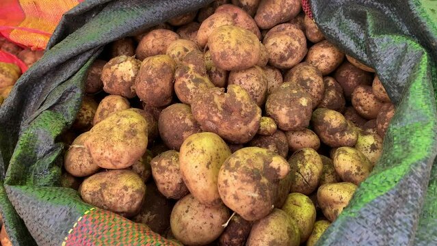 Videos of fresh native potato in a local market in peru.