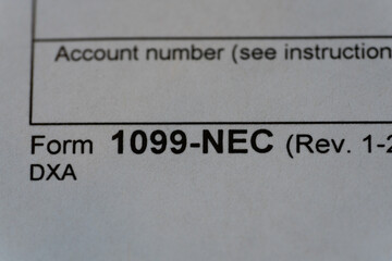 Blank form 1099-NEC.  Account number blank.
