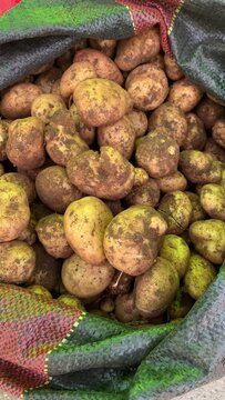 Videos of fresh native potato in a local market in peru.
