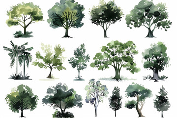 bush, shurb watercolor vector illustration, Minimal style tree painting hand drawn, Side view, set of graphics plant elements drawing for architecture and landscape design. Tropical vector icon, white
