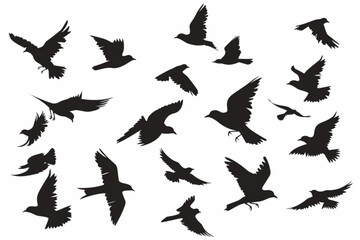 group of flying birds silhouette illustration vector icon, white background, black colour icon