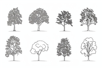 Minimal style cad tree line drawing, Side view, set of graphics trees elements outline symbol for architecture and landscape design drawing. Vector illustration in stroke fill in white. Tropical, oak 