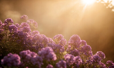 Purple flowers bloom in the field at dawn, background. - Powered by Adobe