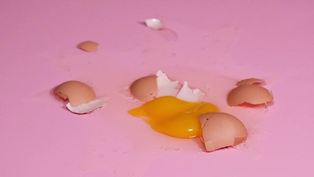 Loop HD video of the chicken egg falling and braking on pink background. 4k resolution slow-motion video of egg that fall and break