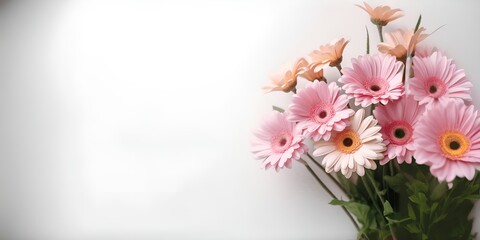 Bouquet of Pink and Peach Gerbera Daisies on White Background