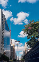 Fototapeta premium Urbano