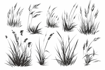 set of hand drawn grass illustration vector icon, white background, black colour icon