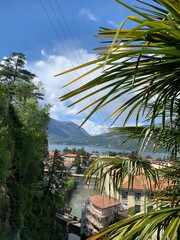 beach with palm trees
