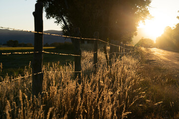 sunset along a barbed wire fence and a road