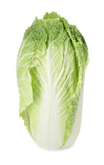 Fresh ripe Chinese cabbage isolated on white