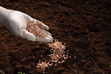 Man fertilizing soil, closeup. Space for text