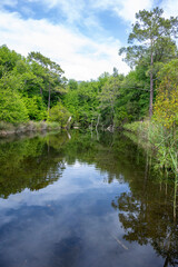 Marmaris, Gunnucek Nature Park is home to many endemic plant species and birds such as the sigla tree. A unique park by the sea for hiking and yoga.