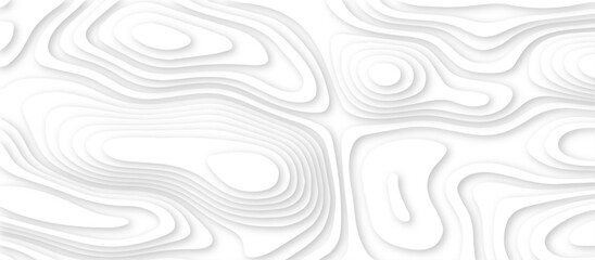Abstract modern 3d Paper cut white background .white waves background ,paper art style, flyers posters prints .geometric background overlap layer.	