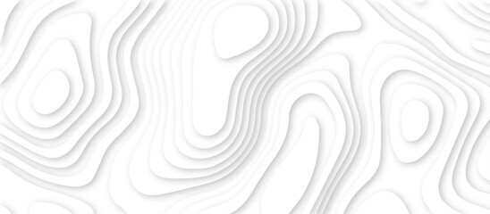 Abstract modern 3d Paper cut white background .white waves background ,paper art style, flyers posters prints .geometric background overlap layer.	