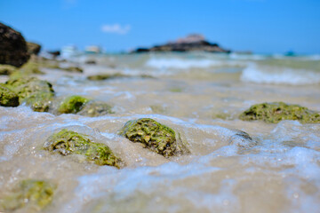green algae cover small rocks that put on the sandy beach of the small island with blurred background blue sky