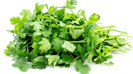 A close up image of fresh coriander leaves set against a white backdrop highlights the herb s aromatic quality