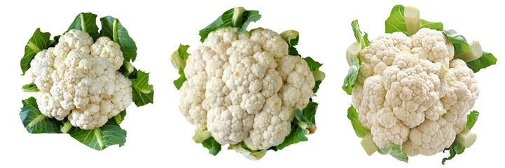 Set of Cauliflower top view Isolated on Transparent background.