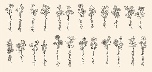 Birth-month flowers with month names, hand drawn, vector