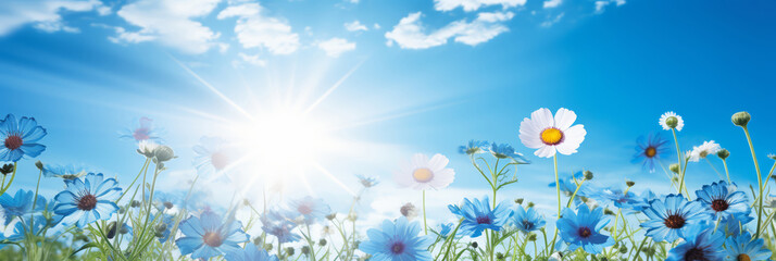 Fototapeta na wymiar Beautiful meadow close-up of blue and white blooming flowers on cloudy sky with sun, on sunny spring summer day background. Colorful and bright natural pastoral landscape.