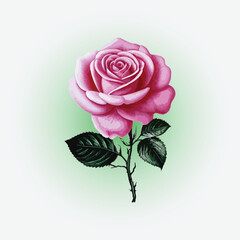 Beautiful Rose With Green leaf