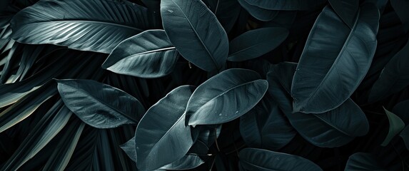 Tropical leaf texture sets the lush background 🌿✨ Perfect for a touch of exotic elegance!