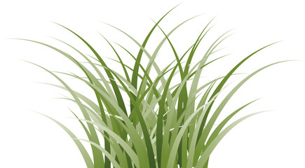 grass clipart transparent background