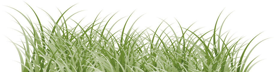 grass clipart transparent background