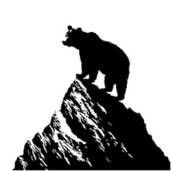 Bear standing on a mountain