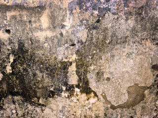stone wall texture
