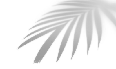 Obraz premium Shadow overlay effect, light overlay