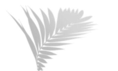 Shadow overlay effect, light overlay