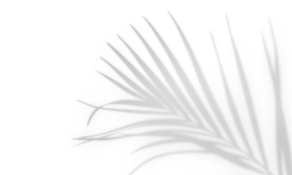 Shadow overlay effect, light overlay