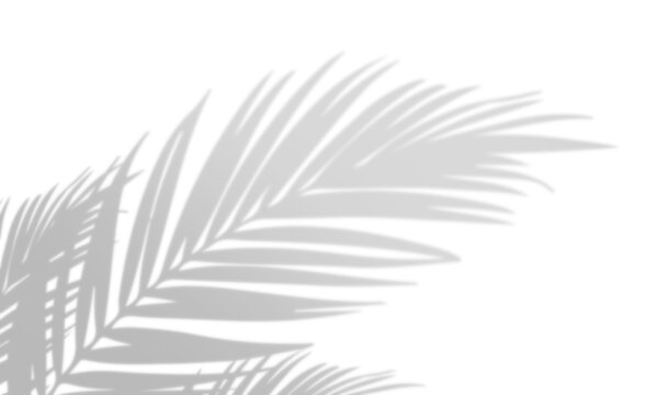 Shadow overlay effect, light overlay